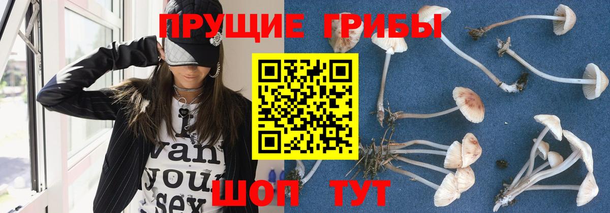 Выборг  Псилоцибиновые грибы мухоморы  Вход с VPN  наркотики  Галлюциногенные грибы мухоморы 