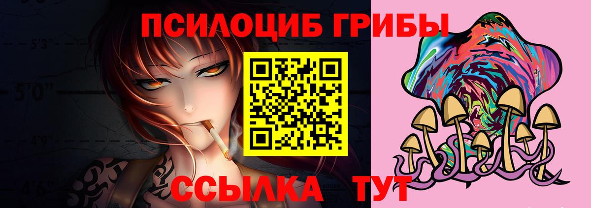 Галлюциногенные грибы прущие грибы Выборг